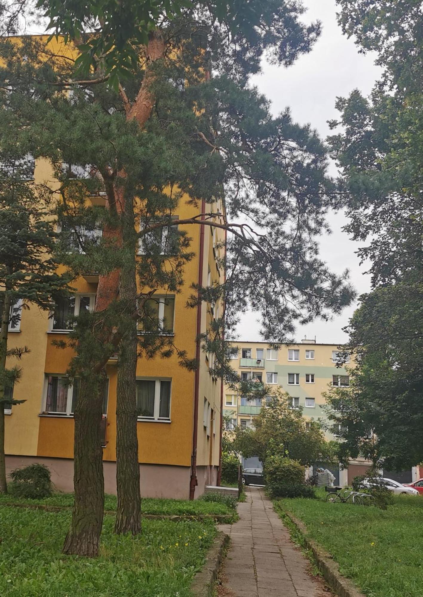 Mieszkanie Brzezno Przy Plazy Γκντανσκ Εξωτερικό φωτογραφία